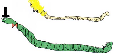 Belle Gonzalez The Earthworm